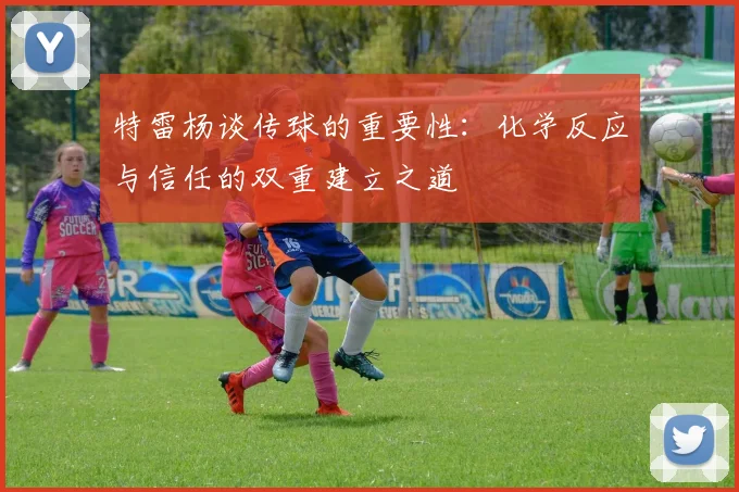 特雷杨谈传球的重要性：化学反应与信任的双重建立之道